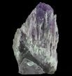 Elestial Amethyst Crystal Point - Brazil #64747-2